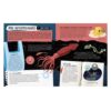 Le coffret du méga atlas de la Mer avec puzzle 500 pièces. - Image 5