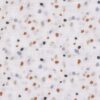 Langes divinement doux L (3 pcs), Tiny Farmer Pois. - Image 3