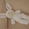 Peluche Olli Ella cozy dinkum le lapin. - Image 4