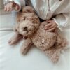Peluche bruits blancs Lou Ours beige. - Image 5