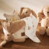 Attache tétine Jollein Bunny Riverside. - Image 4