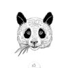 Tatouages éphémères Panda x5.