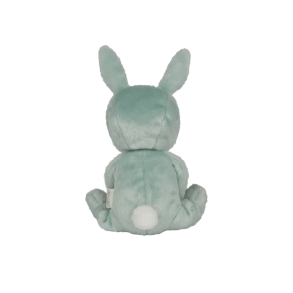 Peluche Olli Ella DINKY DINKUMS Fluffle Family Biscuit Bunny (mint). - Image 2