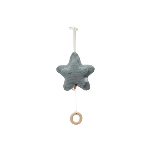 Peluche musicale star sea green.