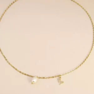 Collier signe astrologique Capricorne.
