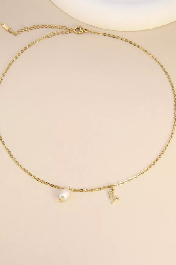 Collier signe astrologique Capricorne.