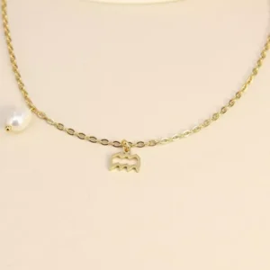 Collier signe astrologique Verseau.