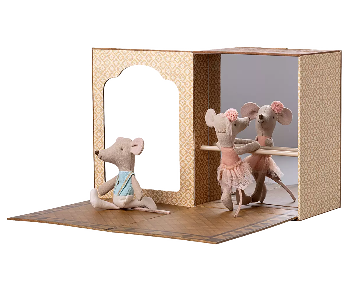 Studio de danse avec petite sœur et petit frère Souris.
