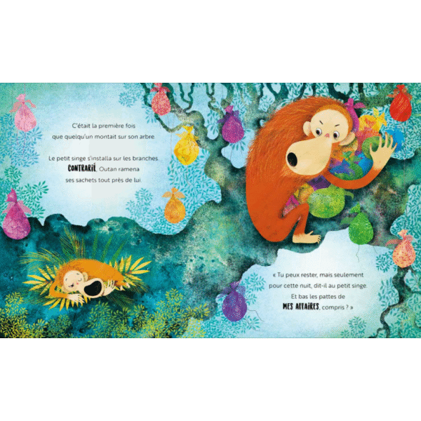 Une jalousie d’orang-outan. - Image 3