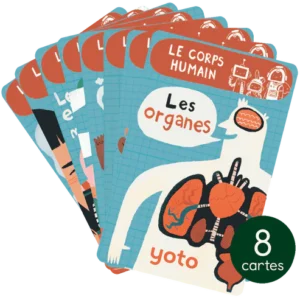 Yoto Cartes (8) Explorobots : Le corps humain.