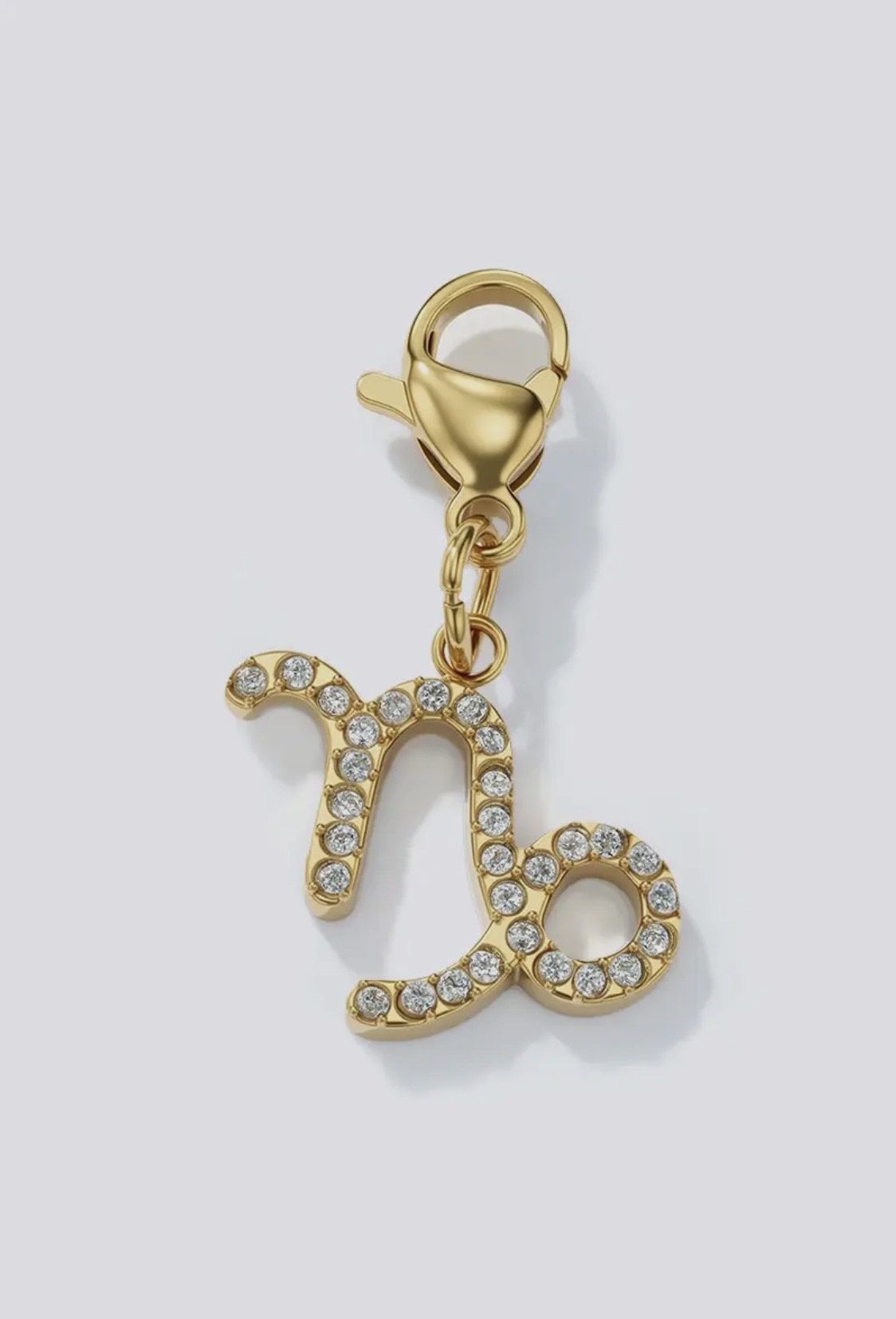 Charms Capricorne et Balance.