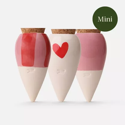 Pépin – Coffret Trio Mini Olla – les Lovers.