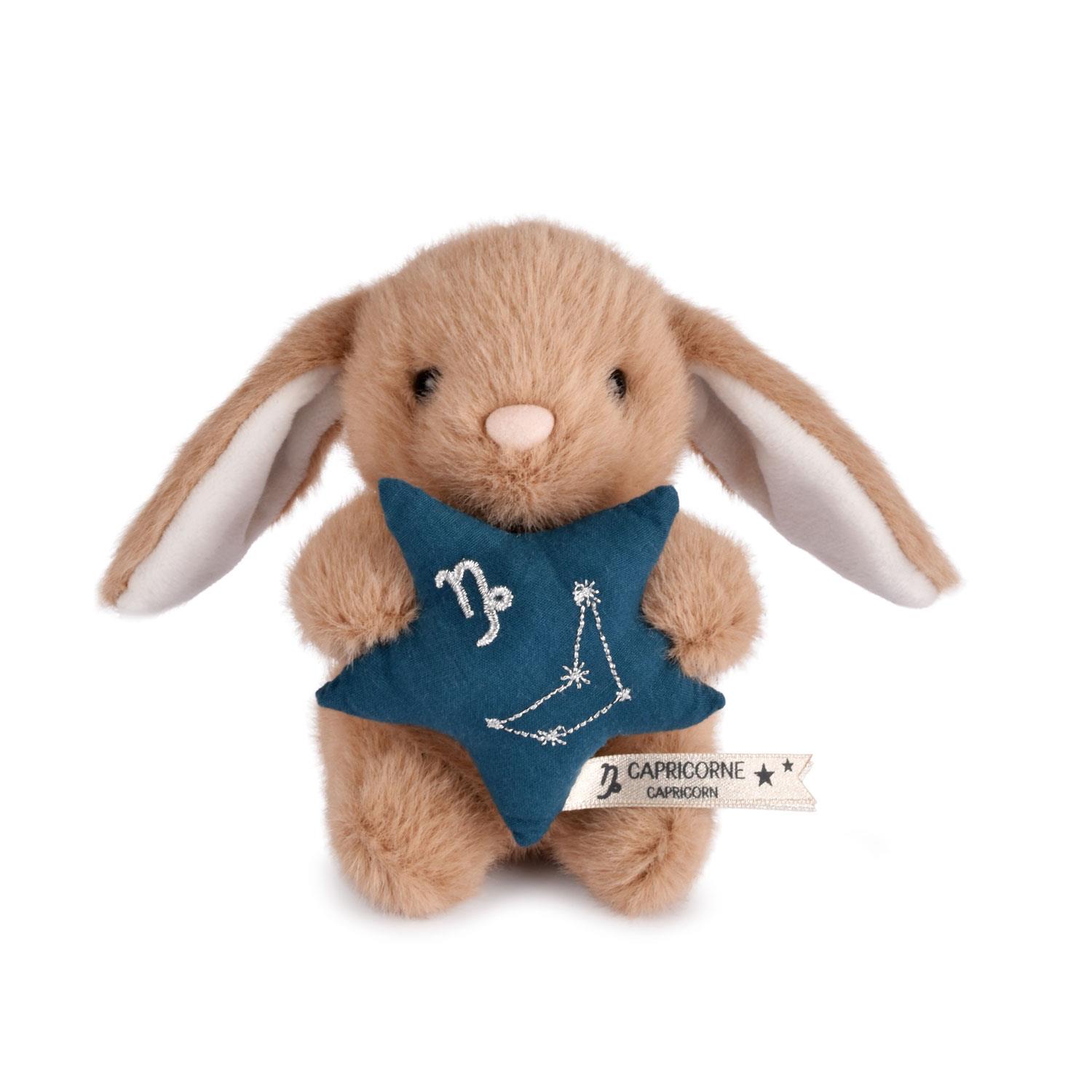 DOUDOU ASTRO – Capricorne.