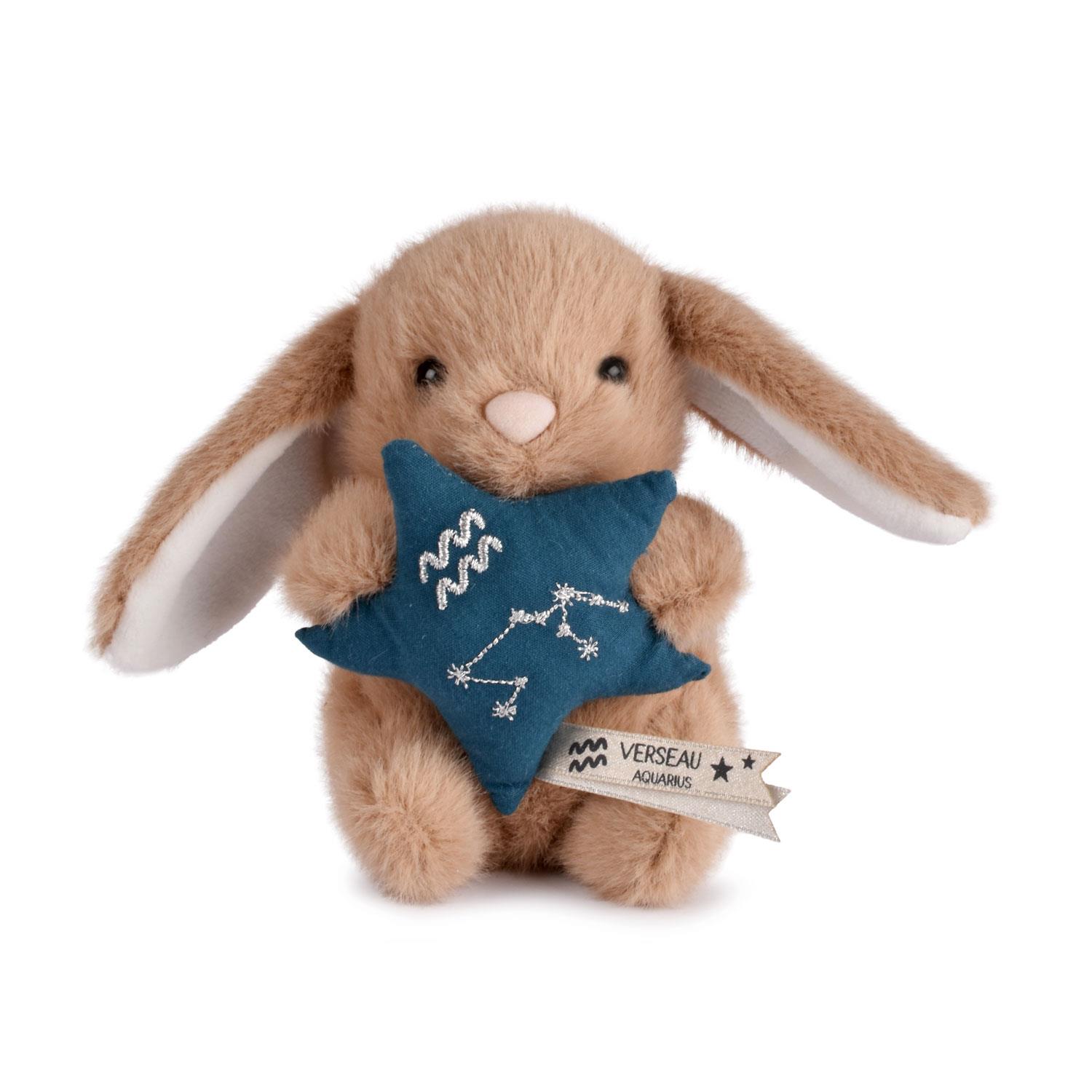 DOUDOU ASTRO – Verseau.