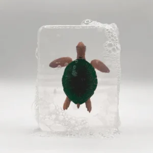 Savon Ludi Soap Tortue.
